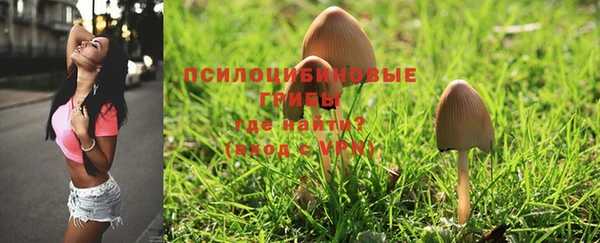 дживик Абинск