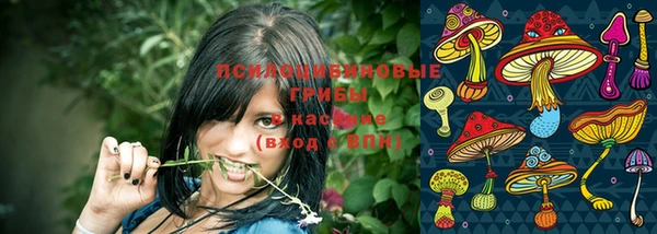 дживик Абинск