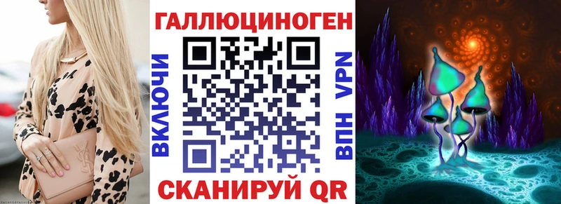 Галлюциногенные грибы Psilocybine cubensis  Карпинск 